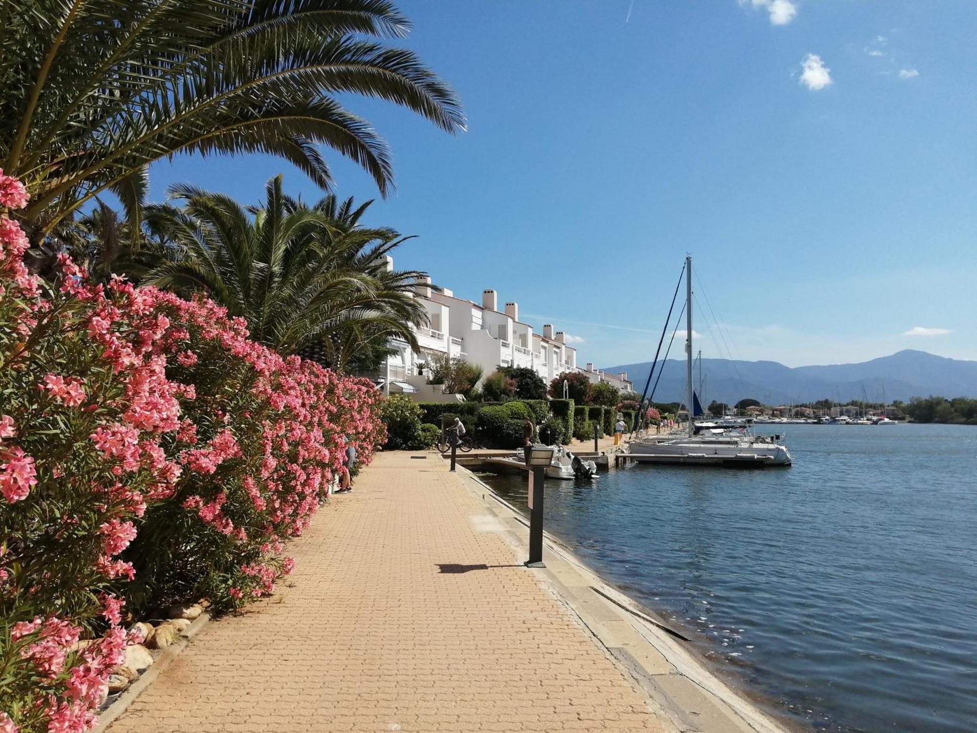 Vue Lagune Et Bateaux A 100M De La Plage Saint-Cyprien  Exterior foto